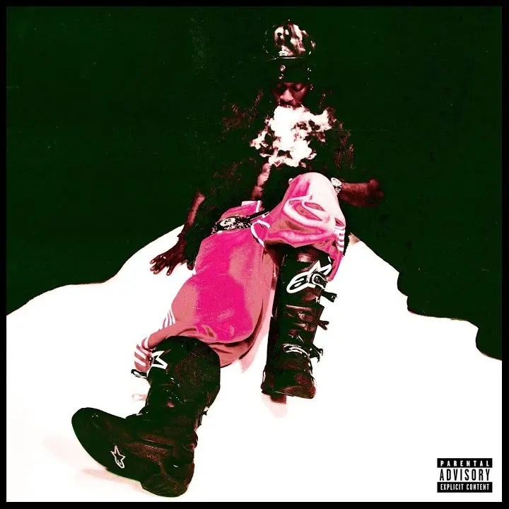WHO BORN THE MAGA mp3 by PsychoYP
