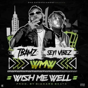 Tbamz – Wish me well Artwork