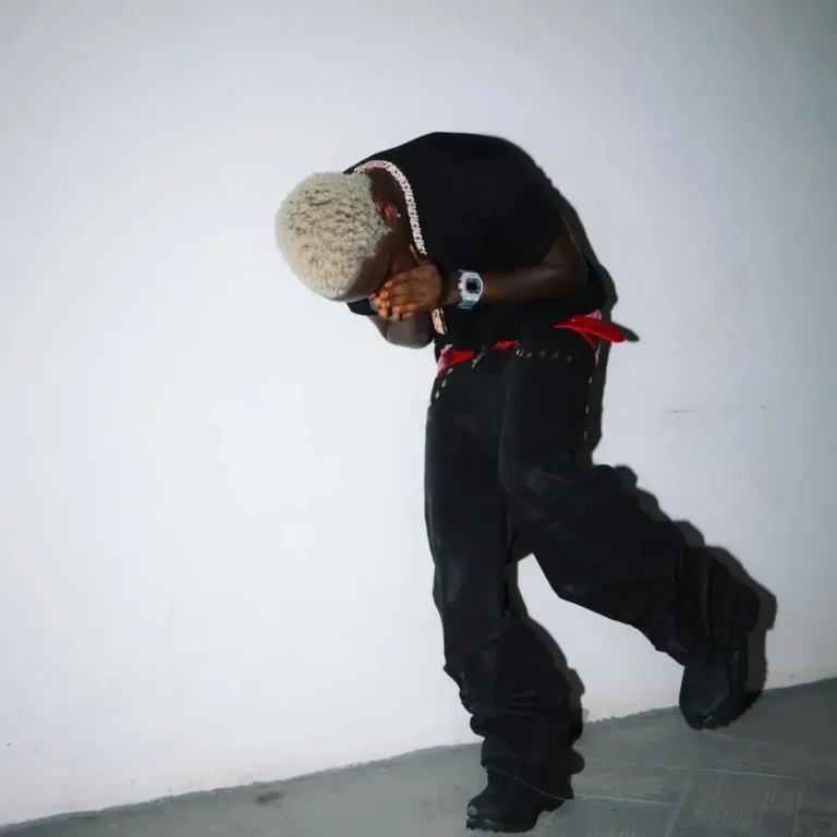 SHON PE (Count Your Money) mp3 by Tml Vibez
