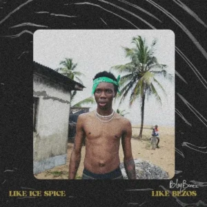 Blaqbonez – LIKE ICE SPICE Artwork