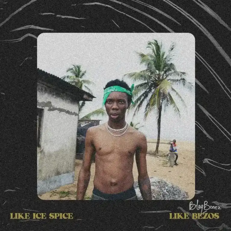LIKE ICE SPICE mp3 by Blaqbonez