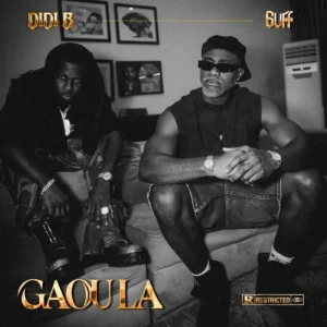 Didi B – Gaou la ft. 6uff Artwork
