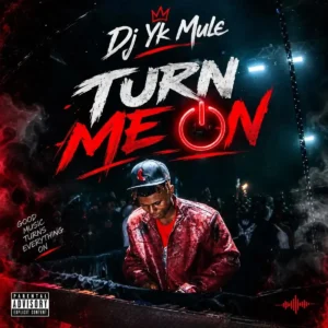 Dj Yk Mule – Turn me on Artwork