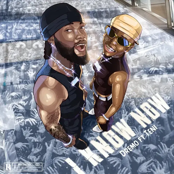 I Know Now mp3 by Dremo feat. Teni