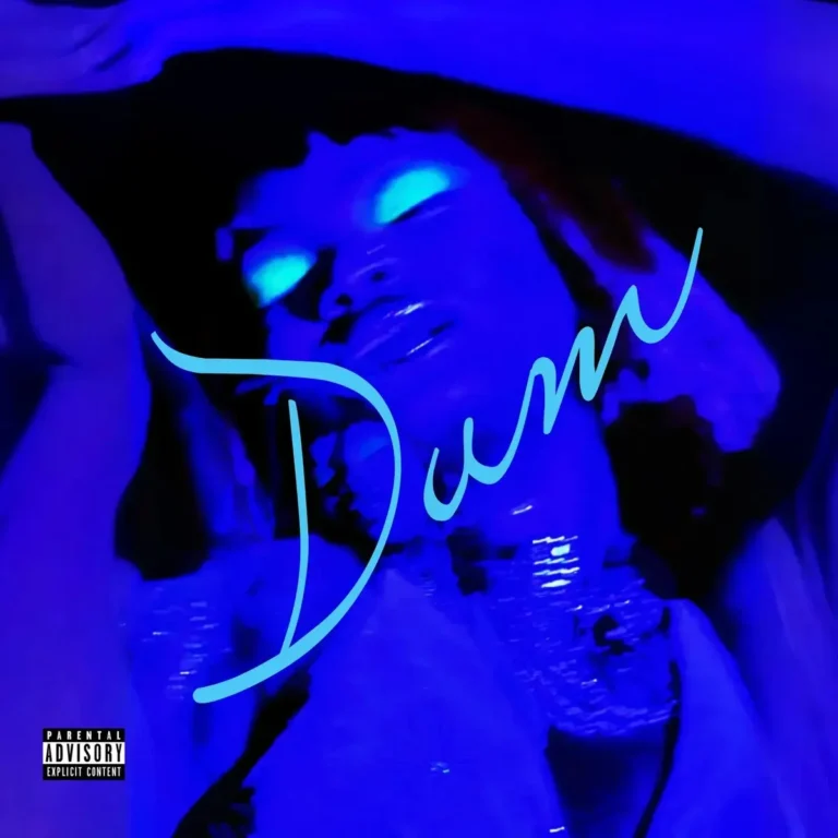DUM mp3 by Fimi
