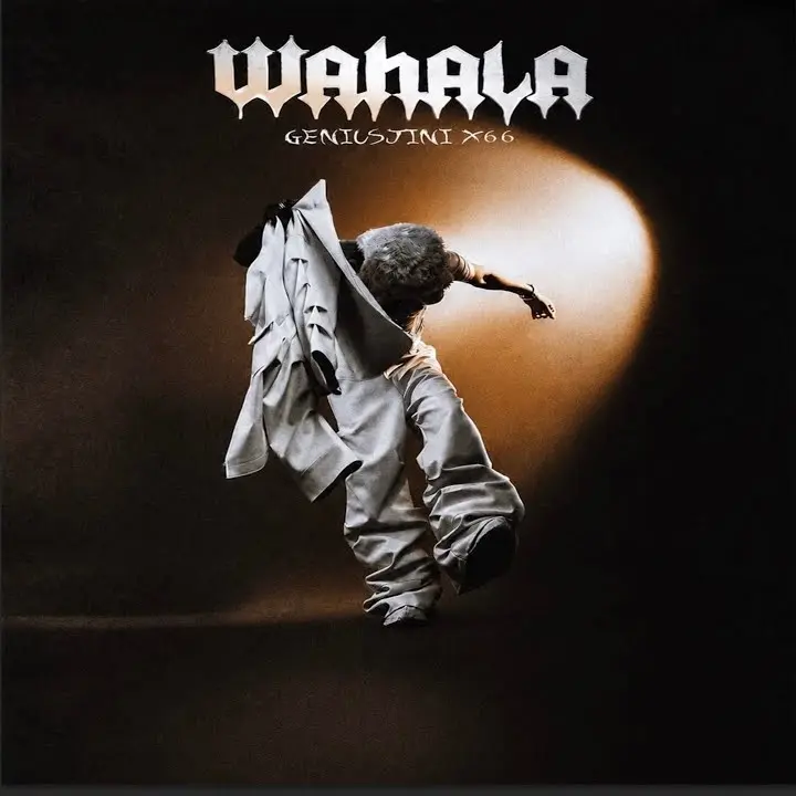 GeniusJini x66 – Wahala Artwork