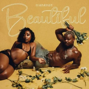 Harmonize – Beautiful Artwork