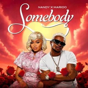 Nandy – Somebody ft. Marioo Artwork