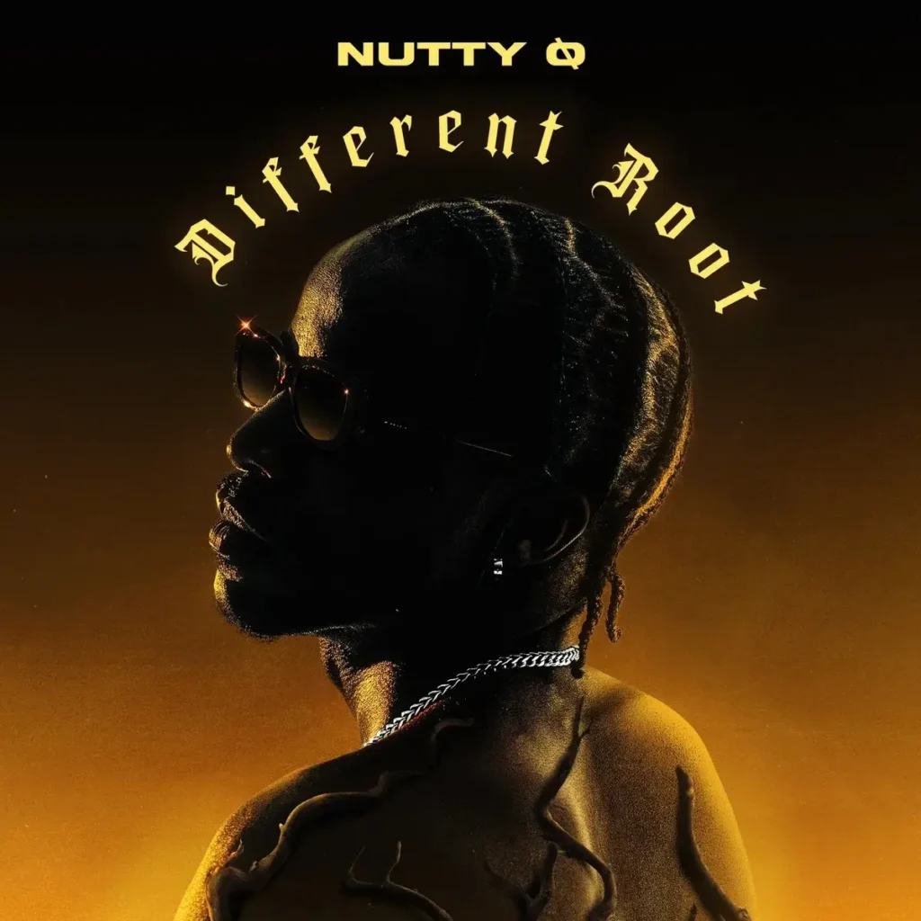 Nutty O – Too Much ft. Fido Artwork