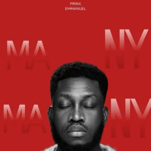Prinx Emmanuel – Many Artwork