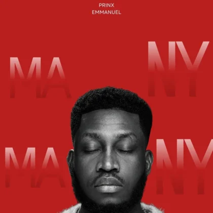 Prinx Emmanuel – Many Artwork
