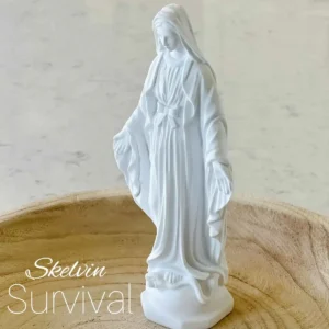 Skelvin – Survival Artwork