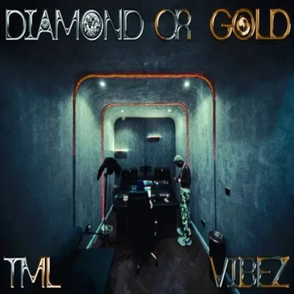 Tml Vibez – Diamond or Gold Artwork