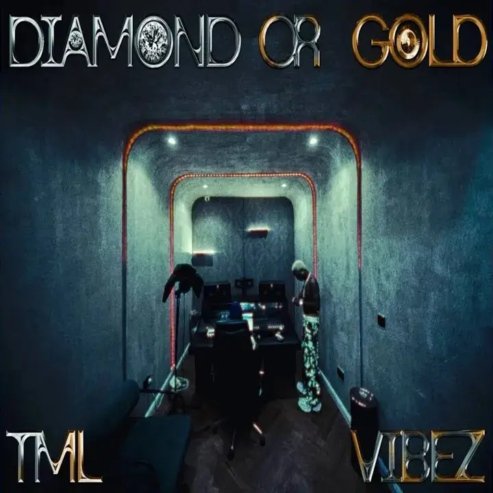 Diamond or Gold mp3 by Tml Vibez