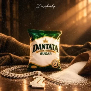 Zinoleesky – Dantata Artwork