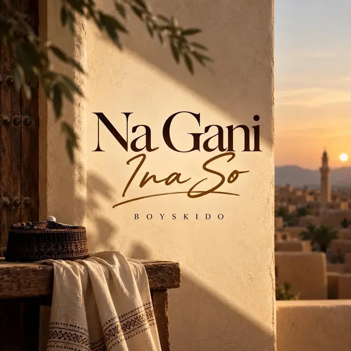 Boyskido – Na Gani Ina So Artwork