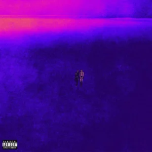 Camidoh – Amina Artwork