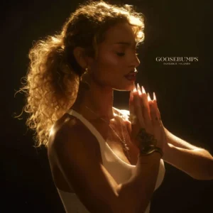 DaniLeigh – Goosebumps ft. Olamide Artwork