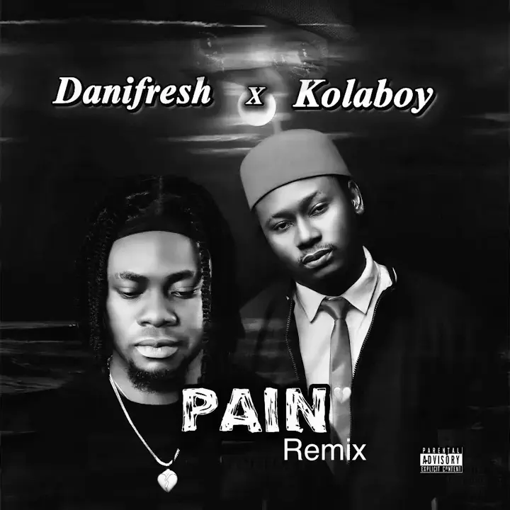 Pain [Remix] mp3 by Danifresh feat. Kolaboy