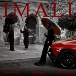 Fireboy DML – IMALI ft. JAZZWRLD & Thukuthela Artwork