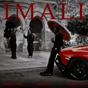 Fireboy DML – IMALI ft. JAZZWRLD & Thukuthela Artwork