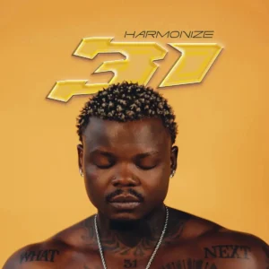 Harmonize – Bumpy Ride ft. Mayorkun Artwork