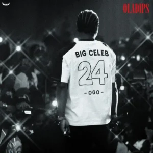 OlaDips – BIG CELEB (Ogo) Artwork