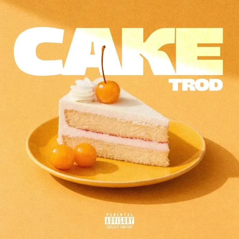 Cake mp3 by TROD