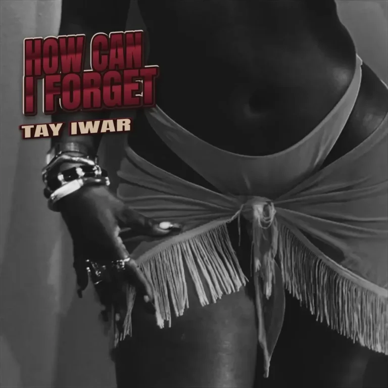 How Can I Forget mp3 by Tay Iwar