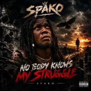 spako – Nobody knows my struggle Artwork