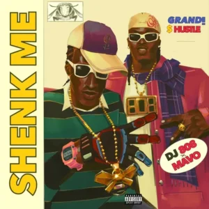 DJ 808 – Shenk Me ft. MAVO Artwork
