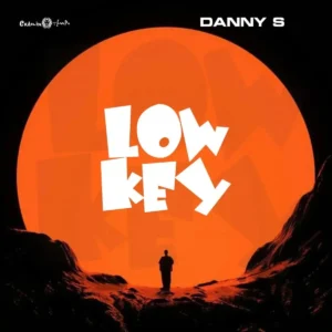 Danny S – Low Key Artwork