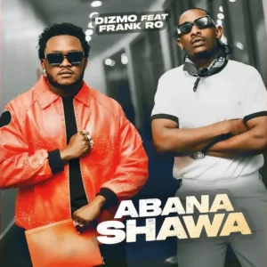 Dizmo – Abana Shawa ft. Frank Ro Artwork