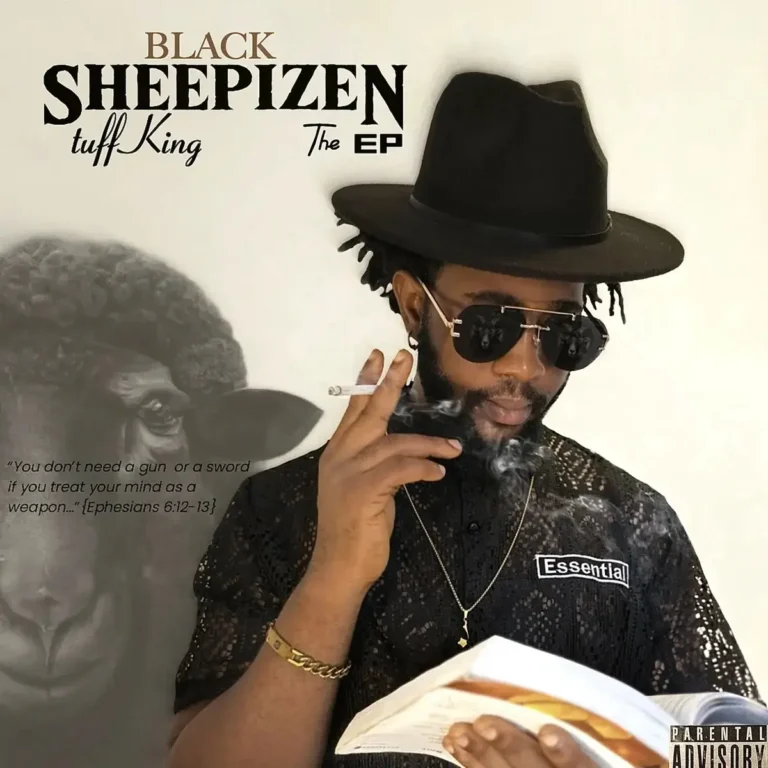 WAKA WAKA mp3 by Tuff King
