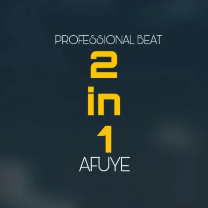 Professional Beat – Afuye 2 in 1 Artwork